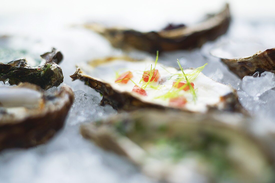 Marinated Royal Oysters from Sylt