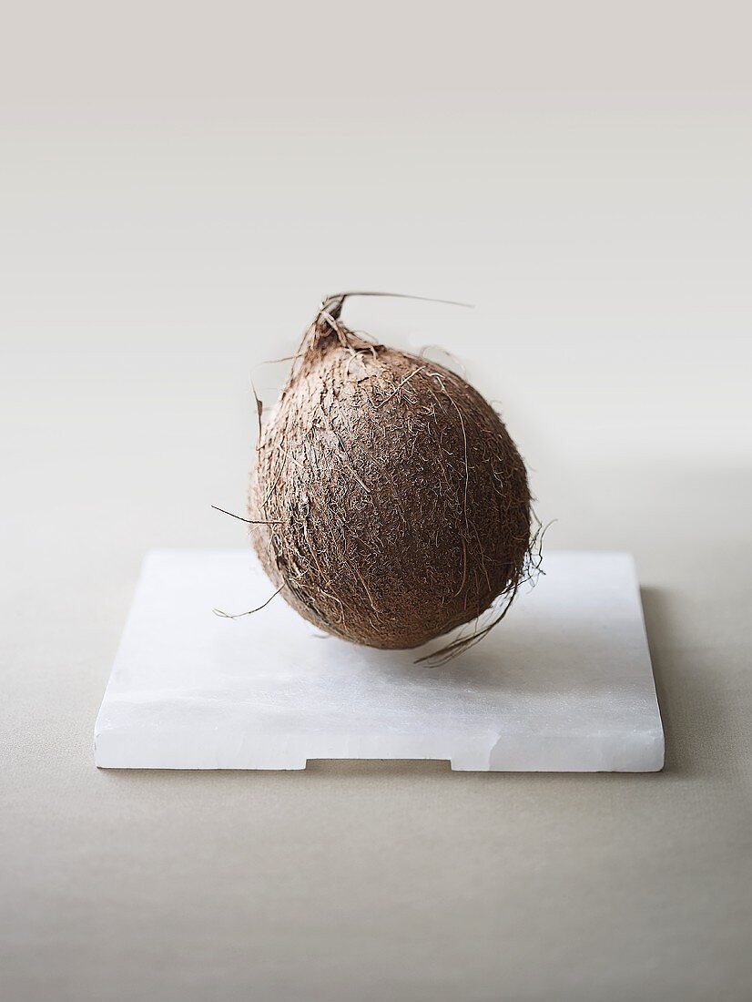 Eine Kokosnuss