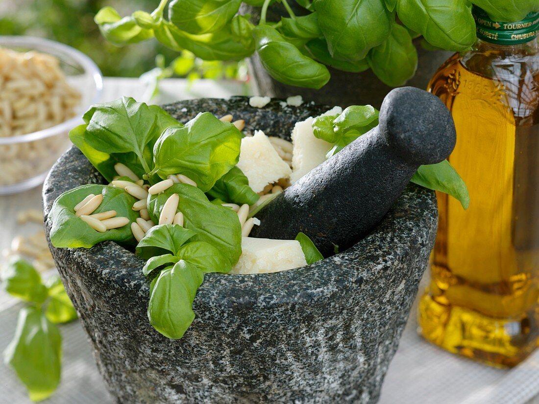 Pesto ingredients in mortar: basil, pine nuts, Parmesan cheese
