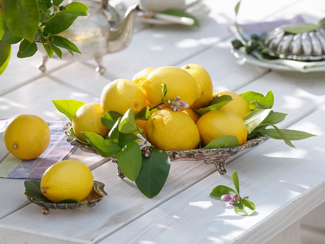Mediterrane Tischdeko mit Zitronen und Blüten in Silberschale auf Holztisch