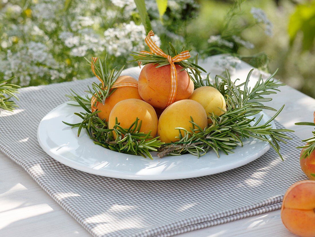 Aprikosen mit Rosmarinzweigen auf Teller