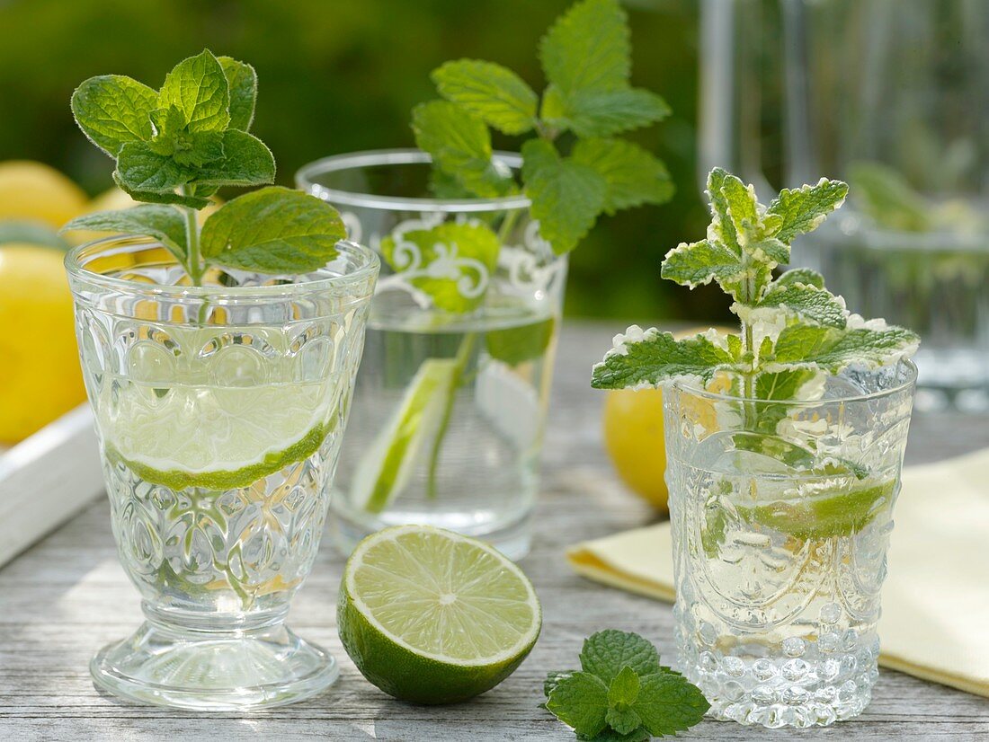 Mineral water with lime and herbs