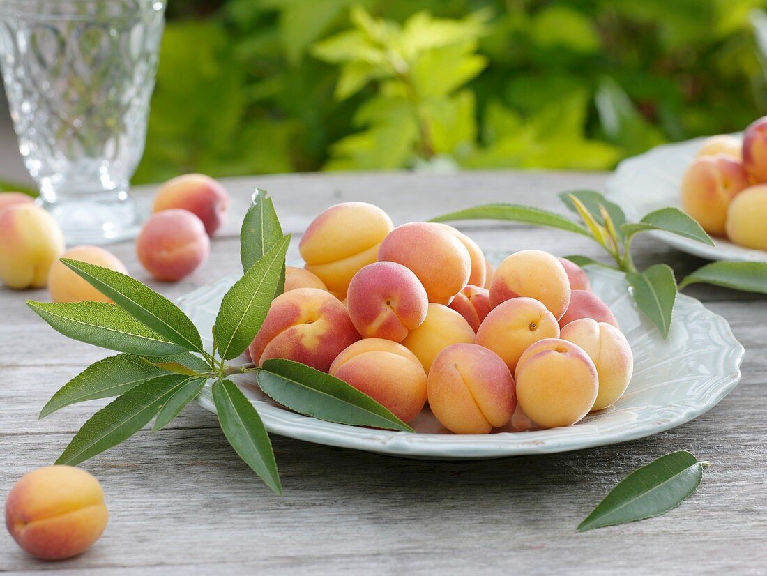 Apricots with leaves on plate