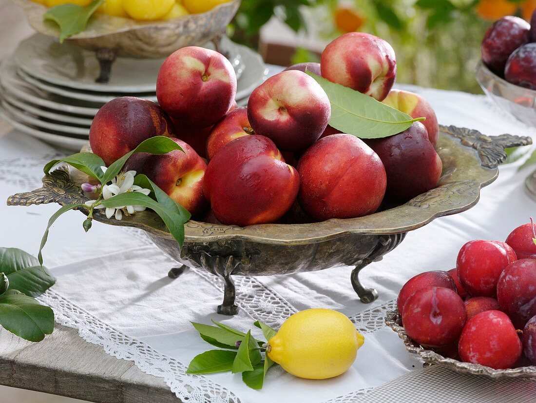 Nectarines and red plums in old silver dishes