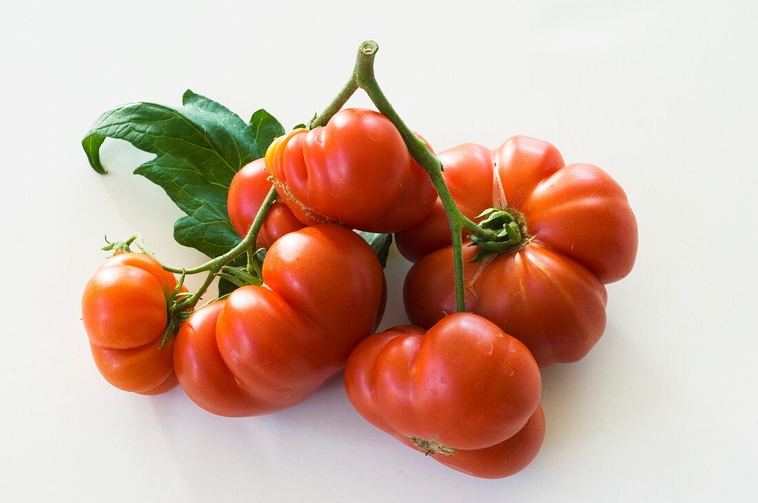 Mehrere Fleischtomaten