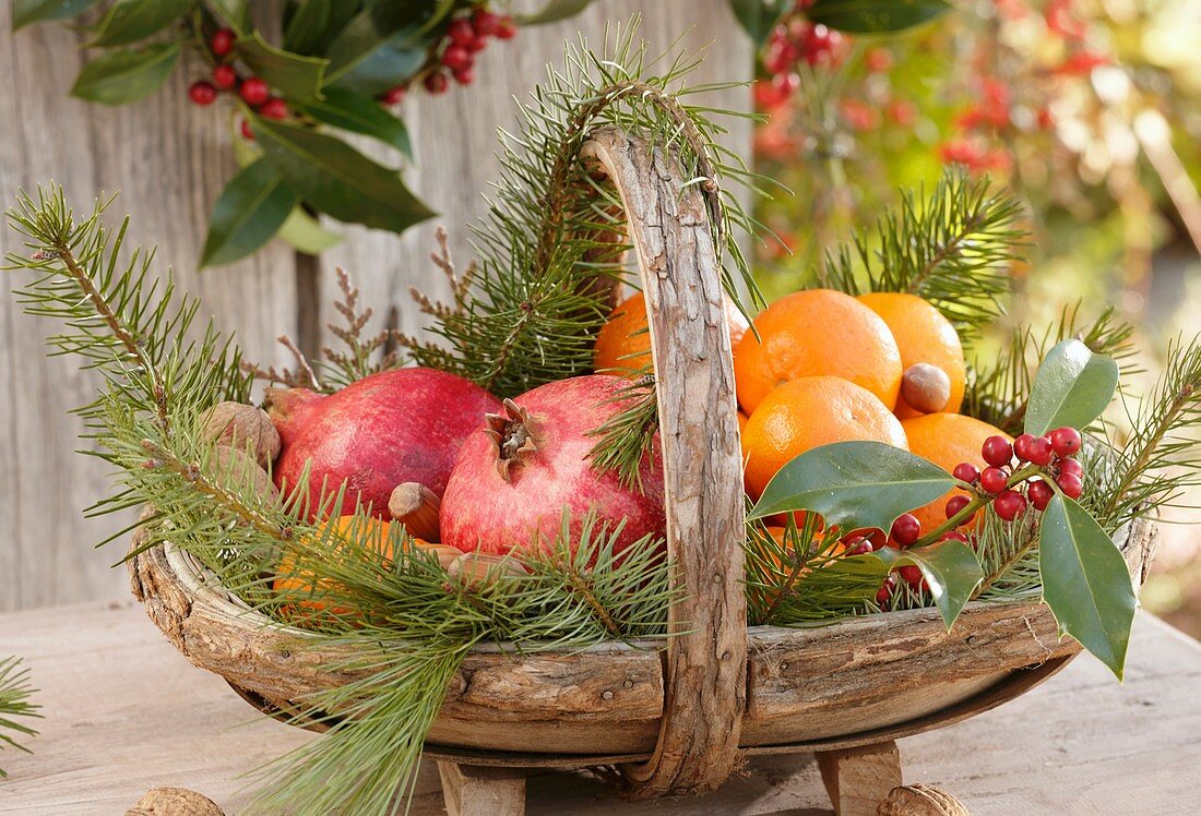 Fruit in trug (Christmas)