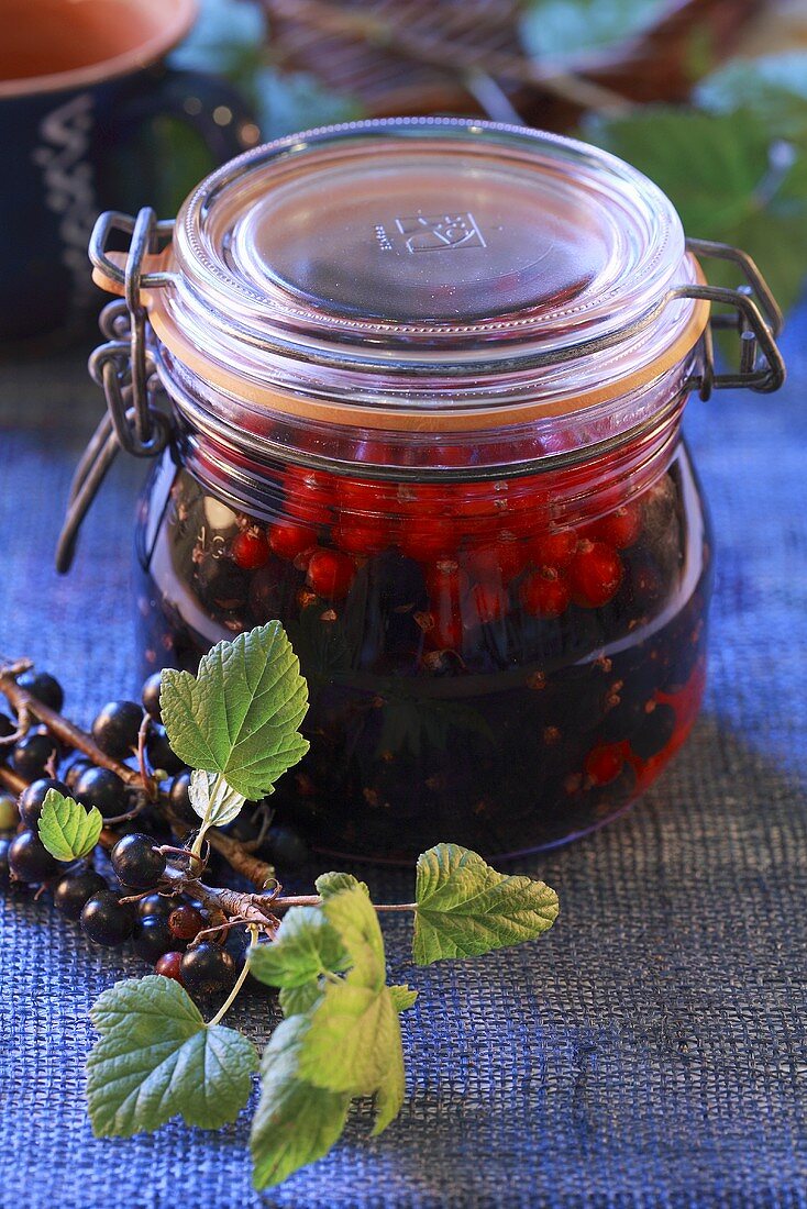 Redcurrant compote in preserving jar