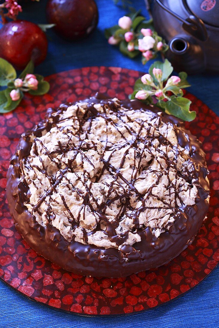 Chocolate cake with plum cream