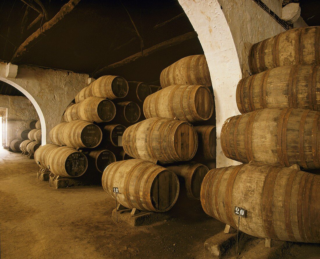 Portwein in Fässern, Taylor's lodge, Vila Nova de Gaia, Portugal