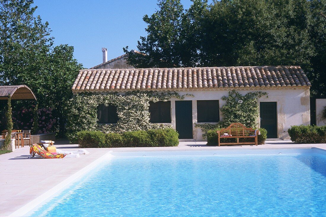 Climber-covered building with large pool, sun loungers and bench