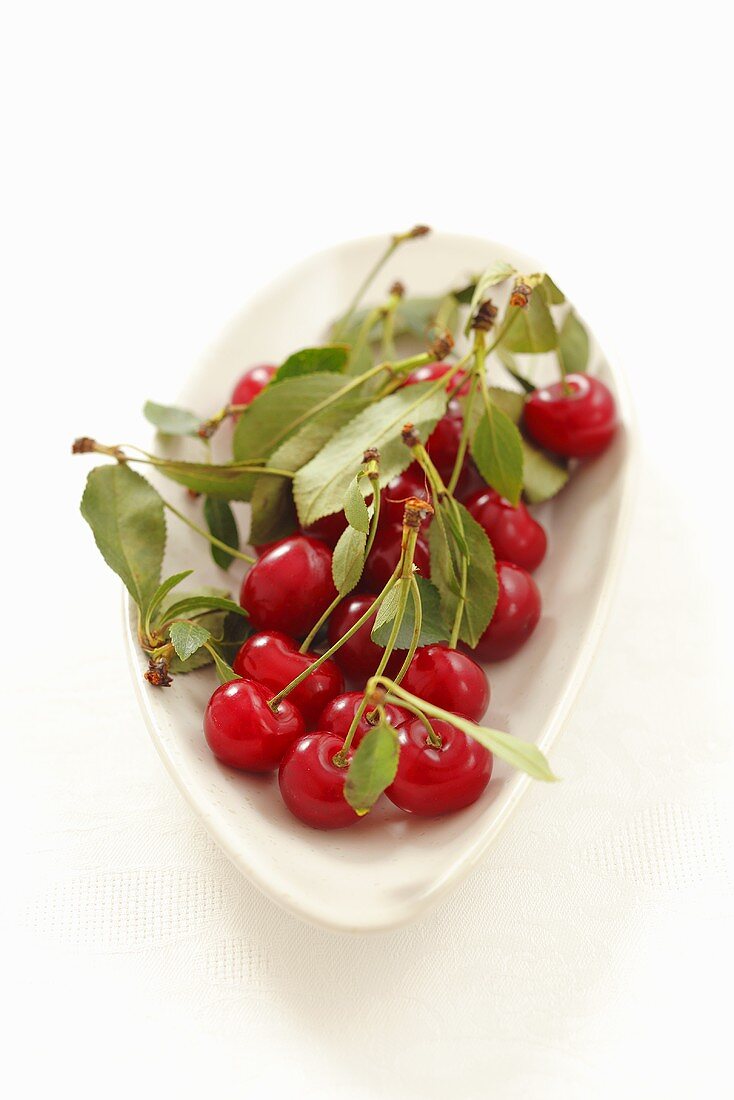 A bowl of sour cherries with leaves