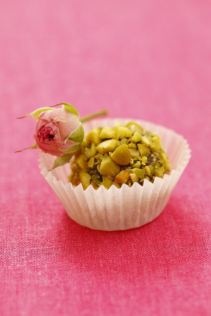 Choclate truffle covered with pistachios