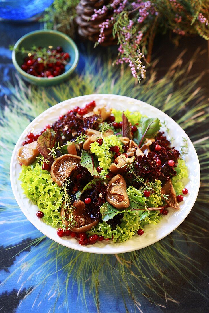 Autumn salad with mushrooms and cranberries