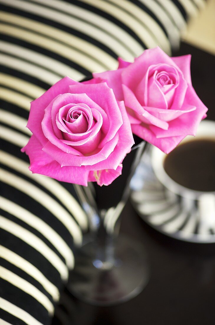 Pinkfarbene Rosen in Vase