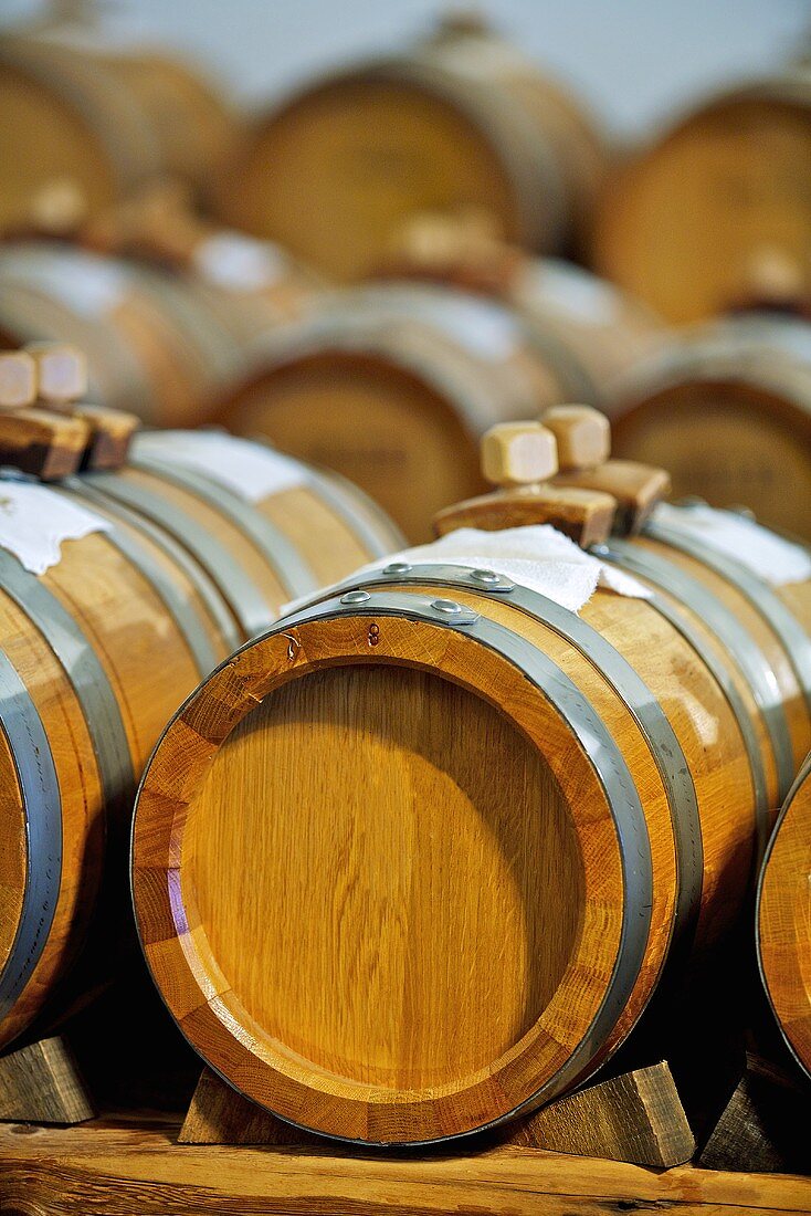 Balsamic vinegar maturing in wooden barrels