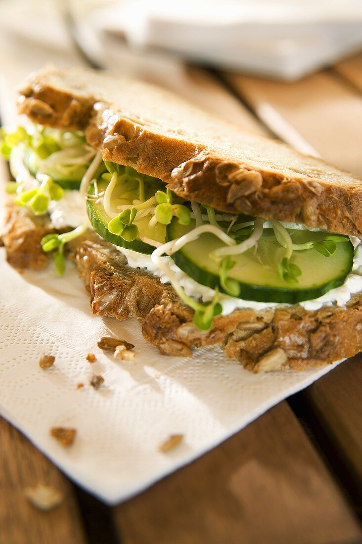 Cucumber and sprout sandwich