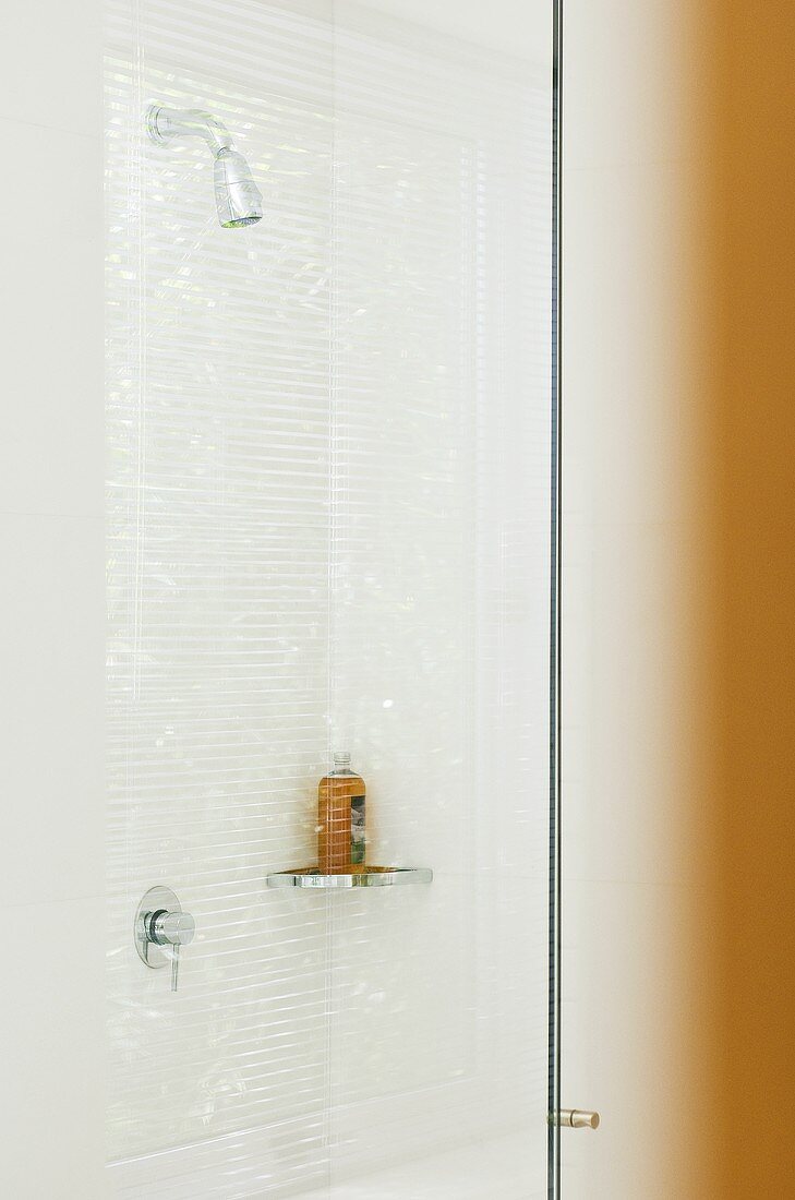 Shower in Villa Bamboo, Southern France