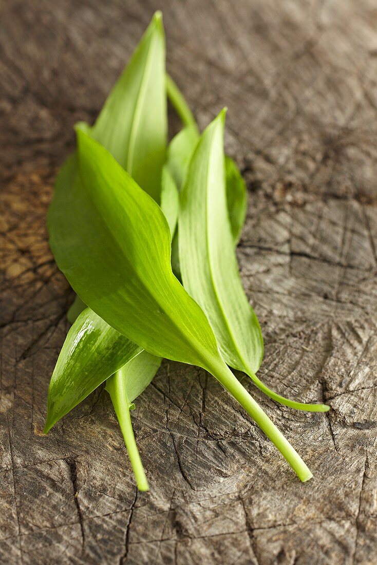 Fresh ramsons (wild garlic) leaves