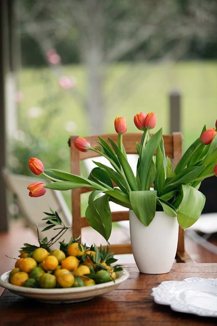 Mandarin oranges and vase of tulips on rustic table