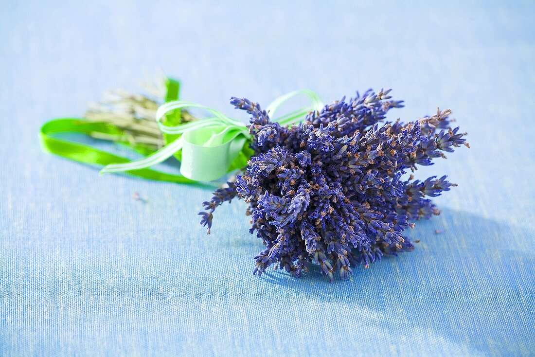 Bunch of lavender with green bow