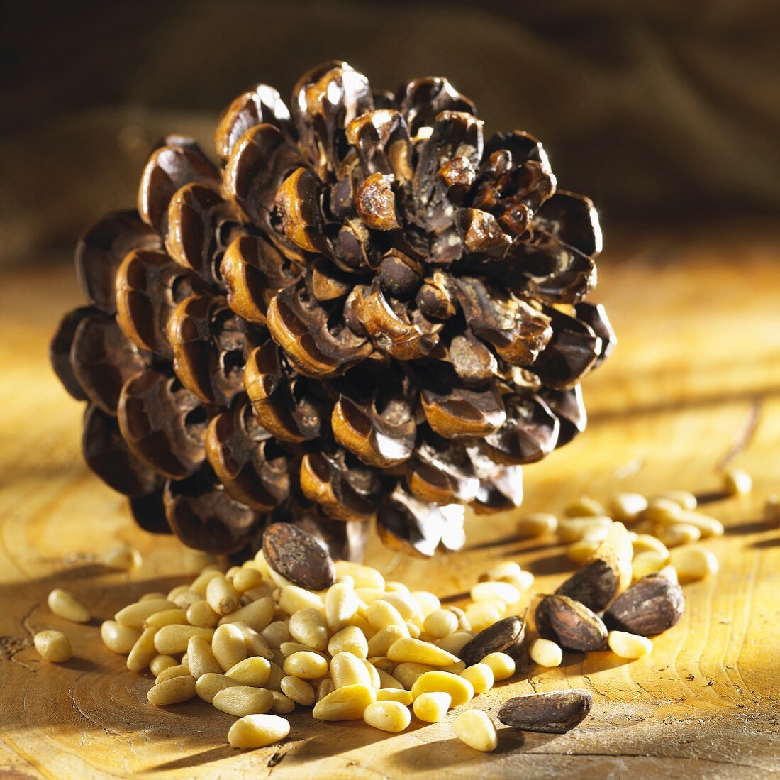Pine cone and pine nuts