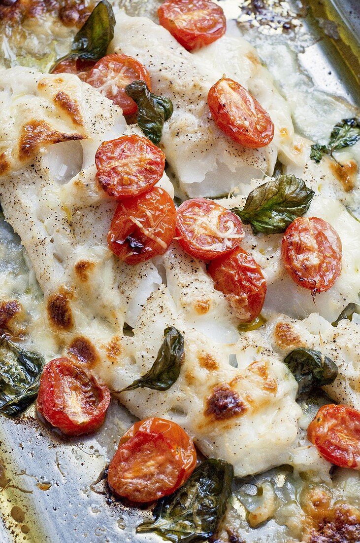 Cod with cherry tomatoes, mozzarella and basil