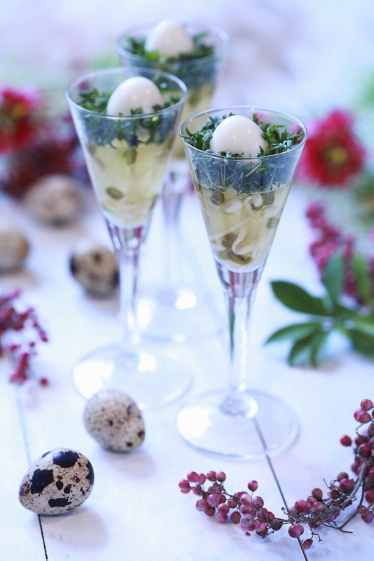 Quails' eggs and cress on sprouts in jelly