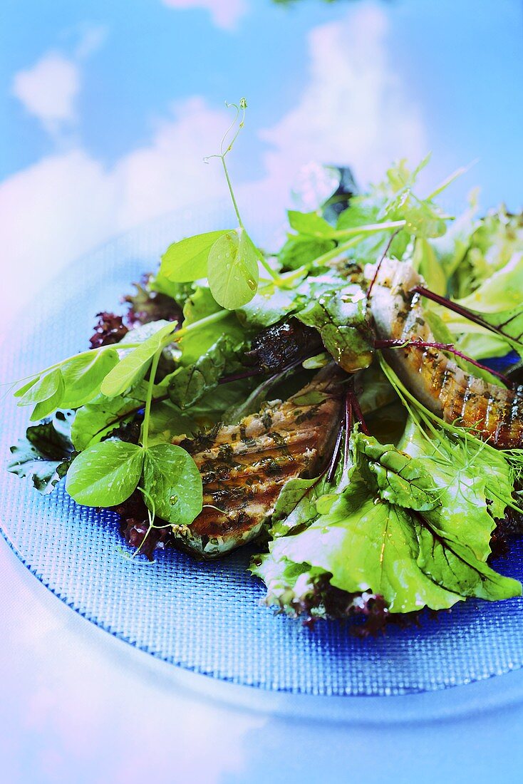 Salad leaves with grilled tuna steaks