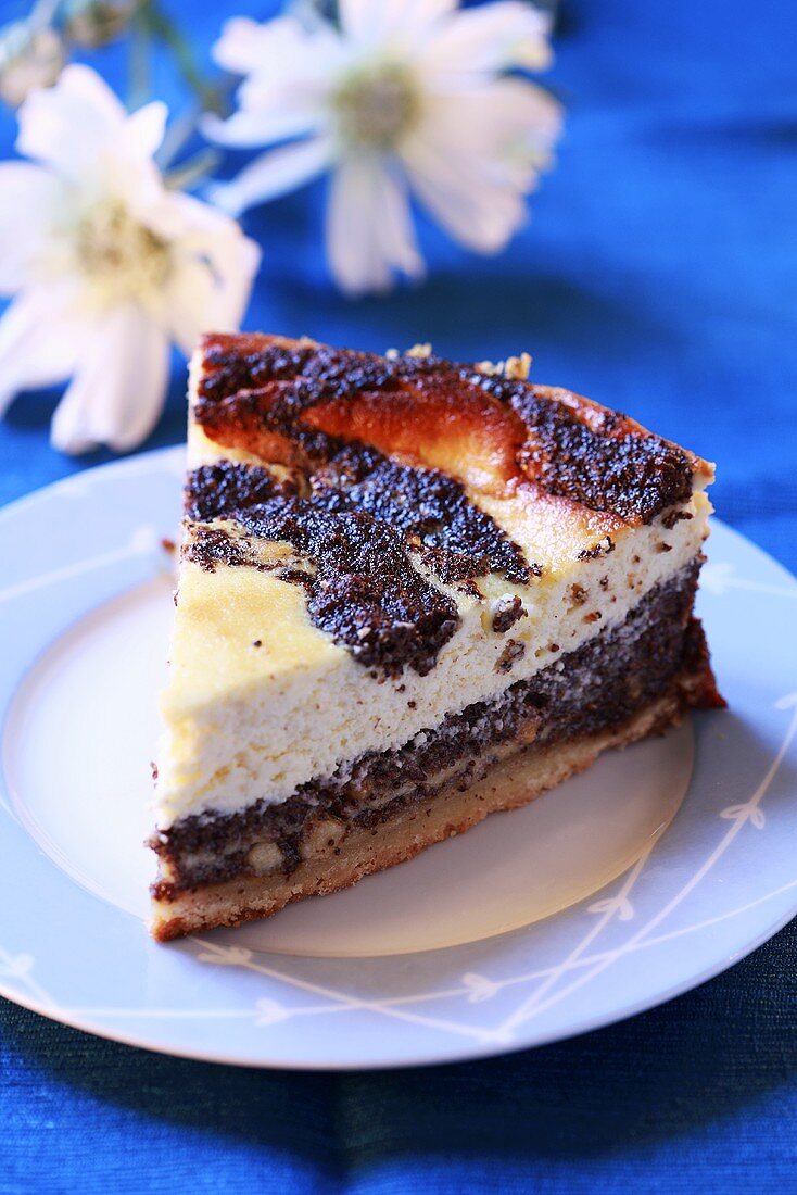 Piece of poppy seed cheesecake