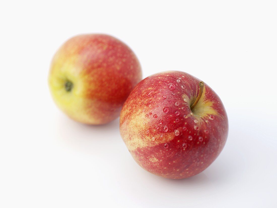 Two apples (variety 'Gala')