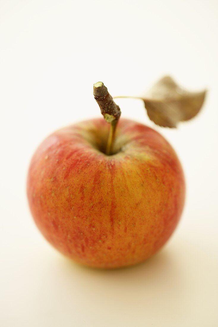 Ein Apfel der Sorte Topas
