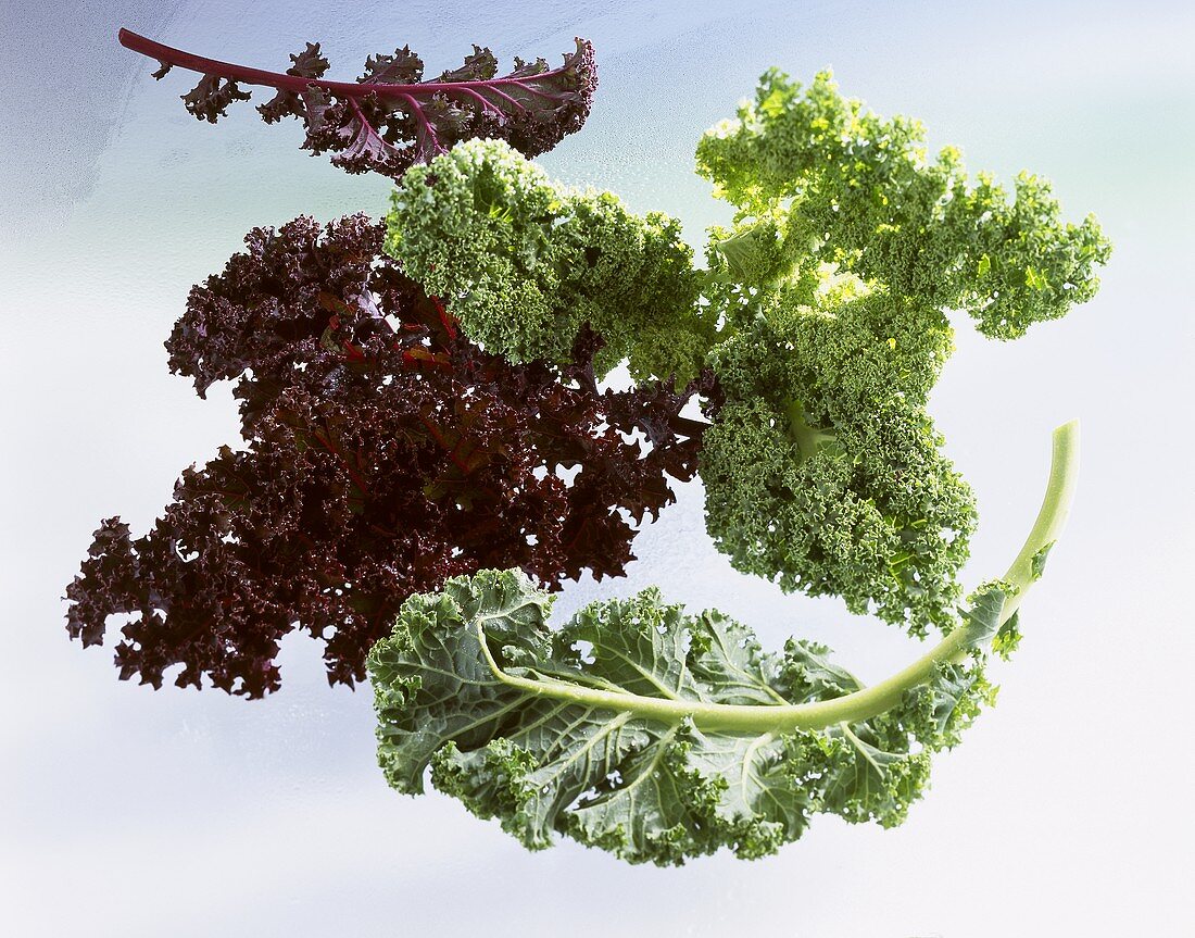 Kale, green and purple varieties