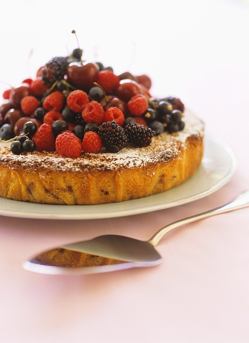Berry cake with fresh berries