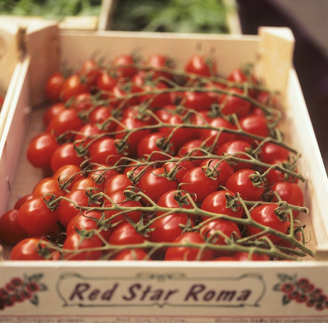 Red vine tomatoes in a crate at a market