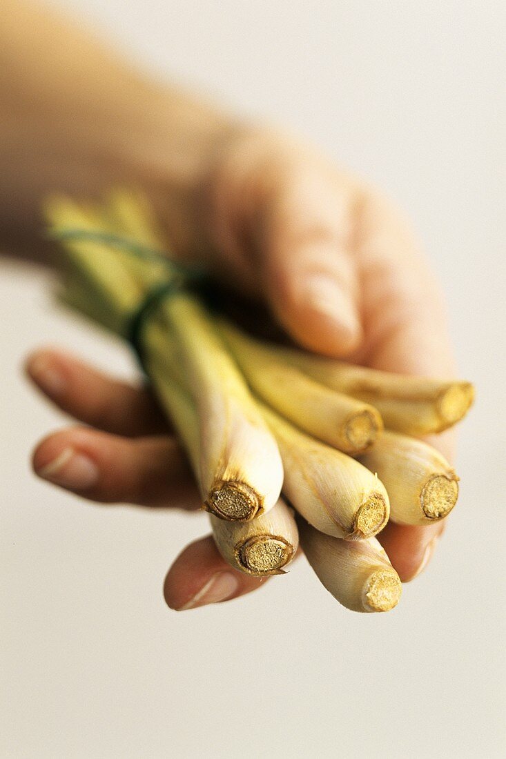 A bunch of lemon grass held in someone's hand