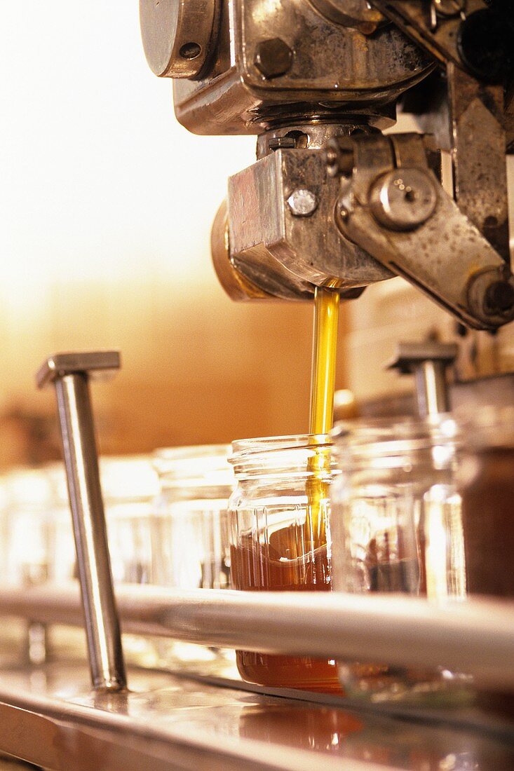 Bottling honey in a factory