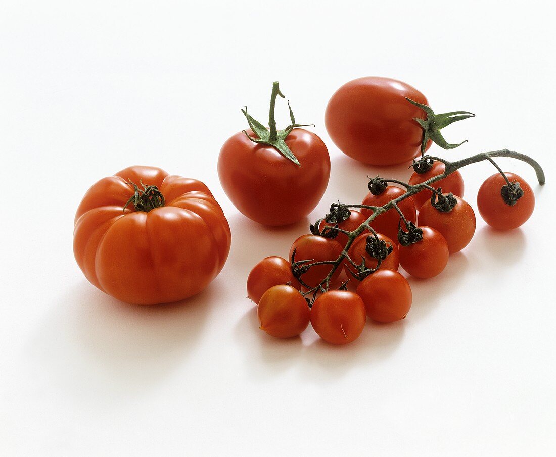 Four different types of tomato