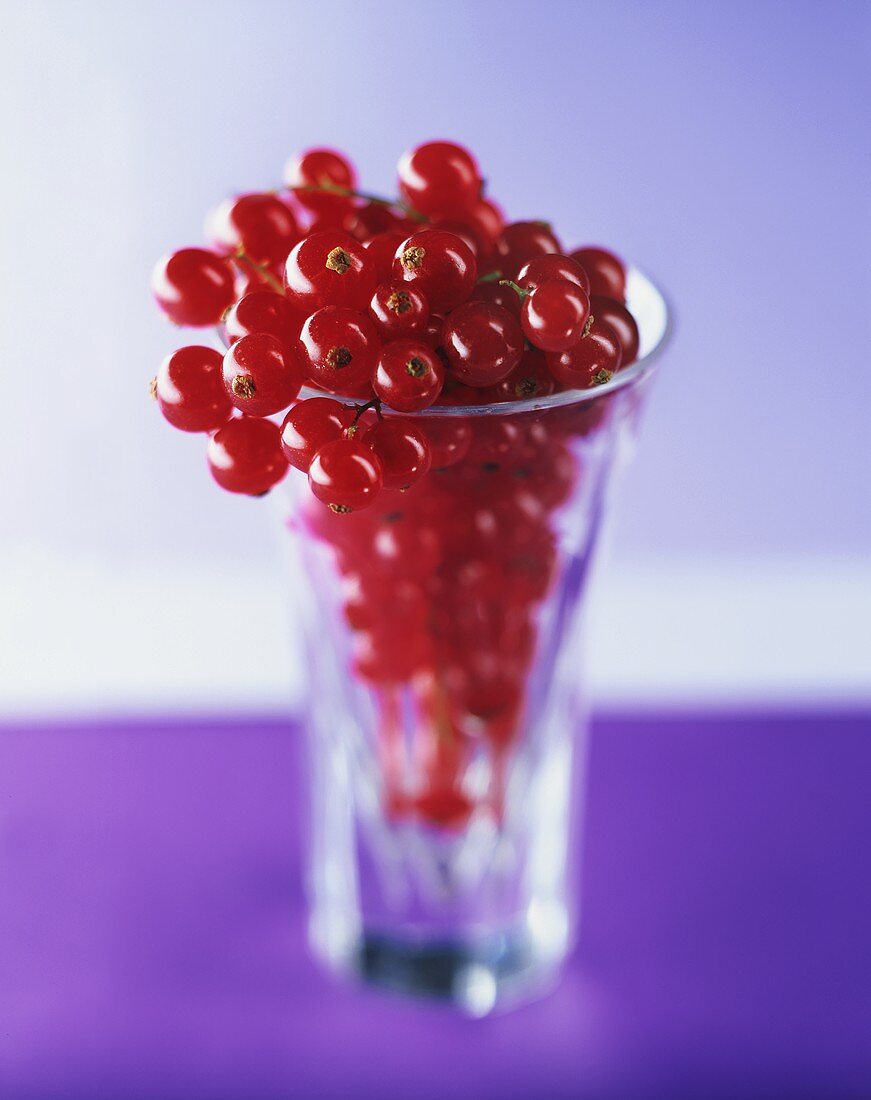 Rote Johannisbeeren in einem Schnapsglas