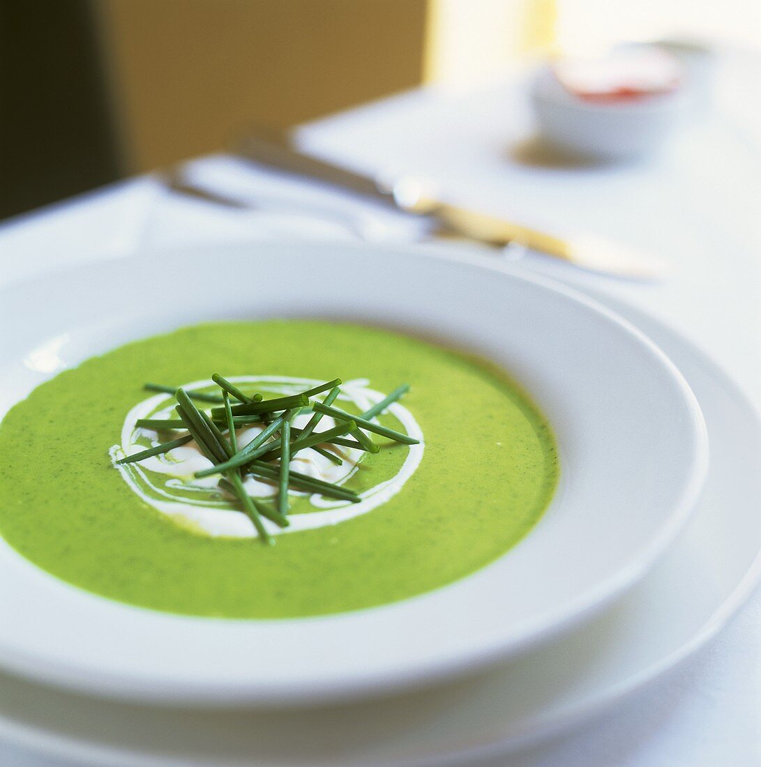 Brennnesselsuppe mit Crème fraîche und Schnittlauch