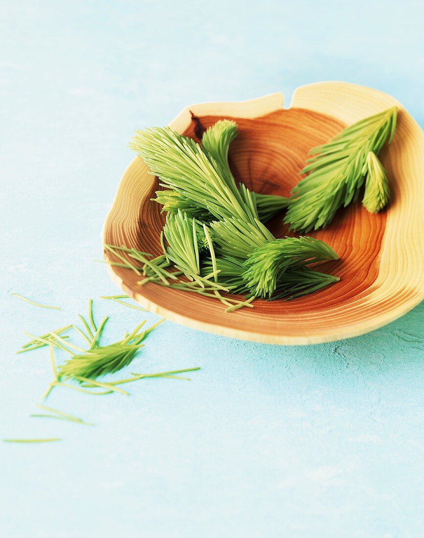 Pine needles in wooden bowl (cosmetics, natural remedies, honey)