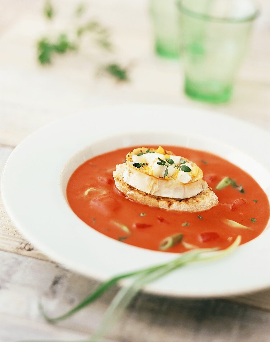 Tomatensuppe mit getoastetem Brot und Ziegenkäse