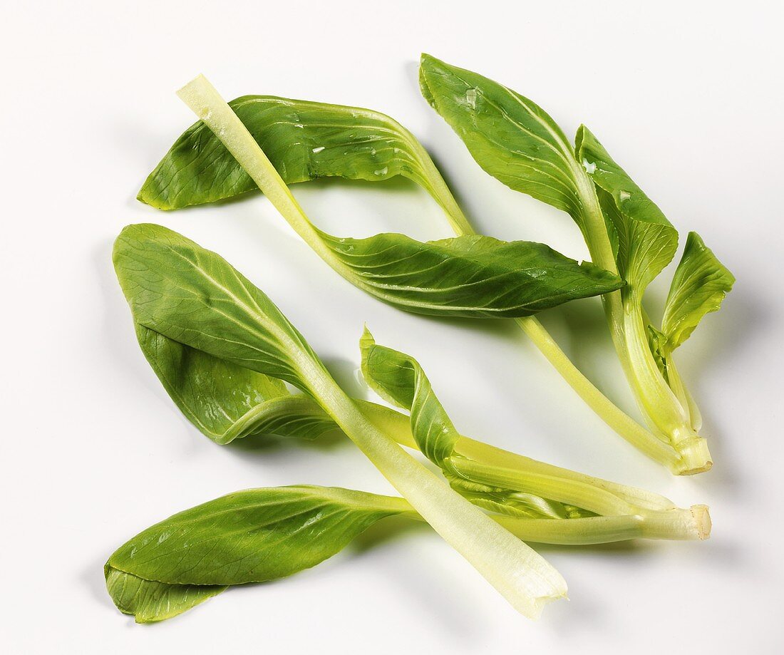 Pak Choi-Blätter