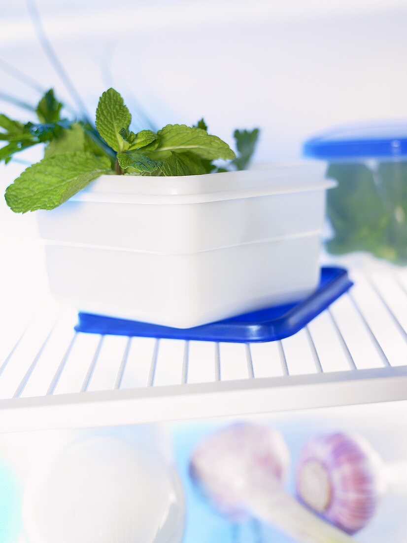 Herbs in plastic containers in fridge