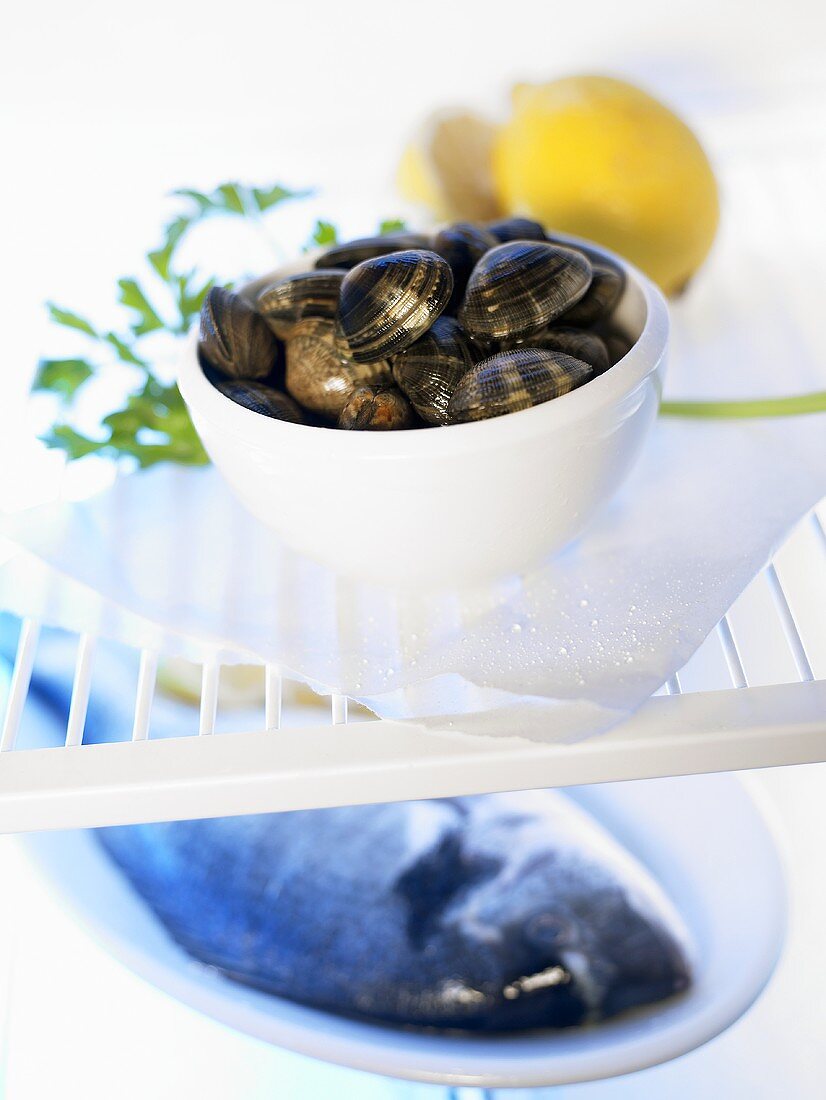 Shellfish in bowl and fish on plate in fridge