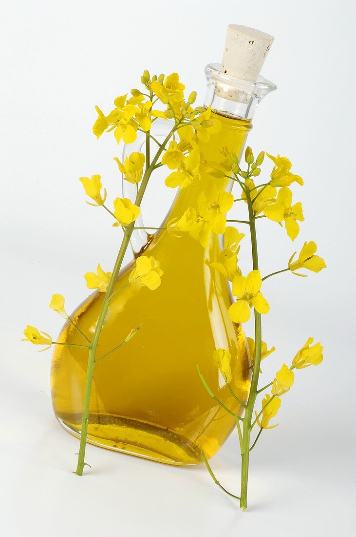 Rape seed oil in a bottle and rape flowers