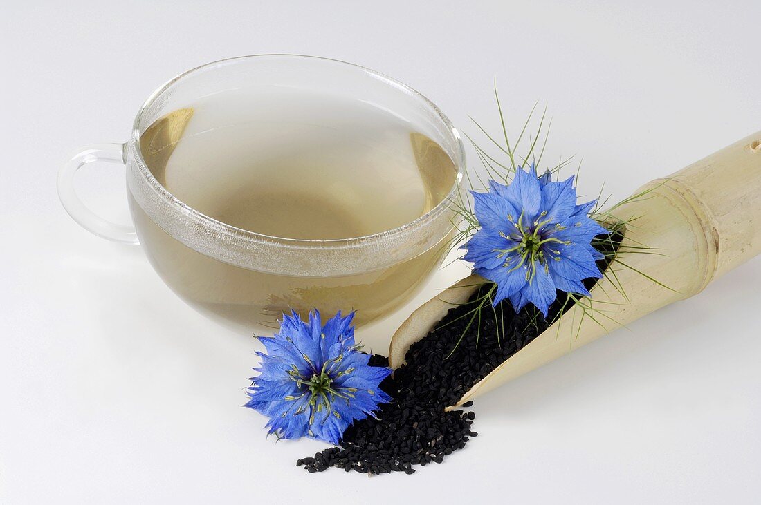 Schwarzkümmel (Tee, Samen und Blüten)