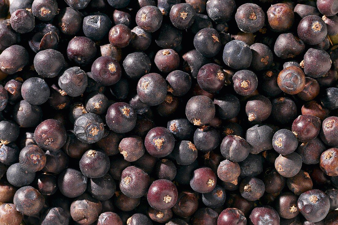 Juniper berries, full frame