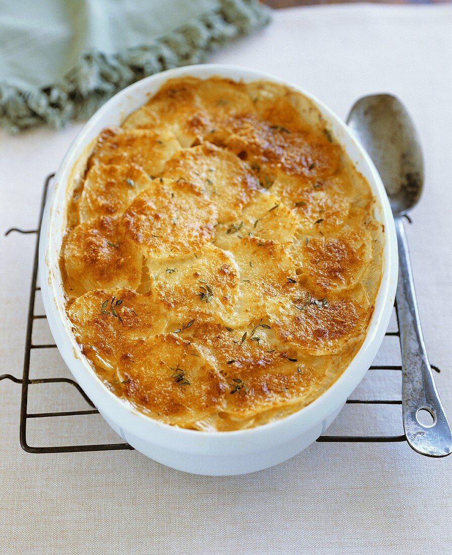 Cheese and potato gratin