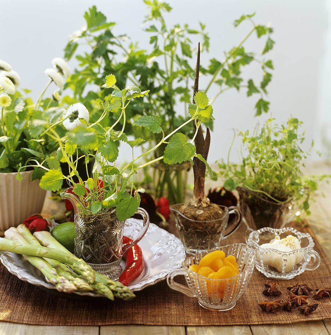 Stillleben mit Gemüse, Trockenobst, Gewürzen und Kräutern