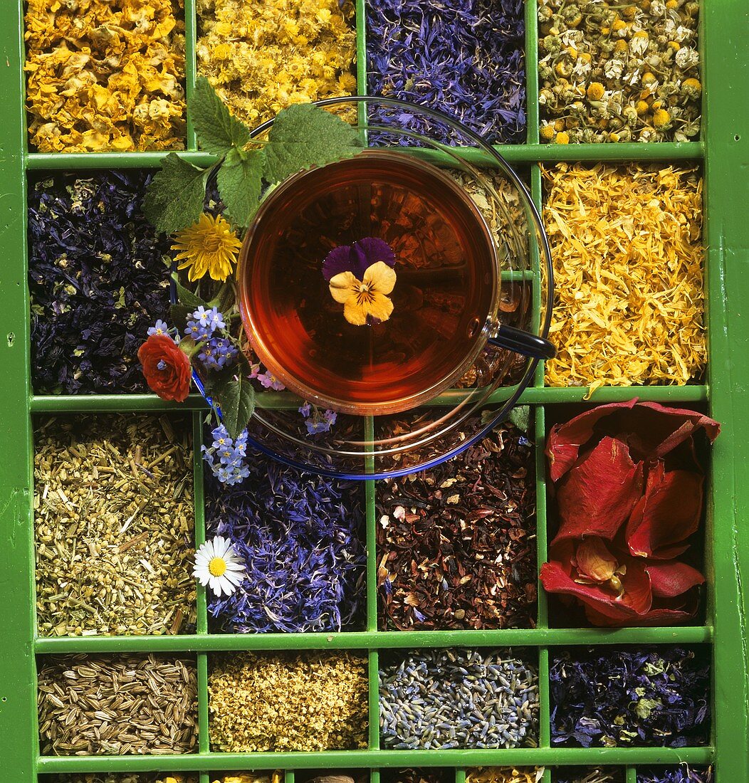 Setzkasten mit verschiedenen Aromasorten für Tees
